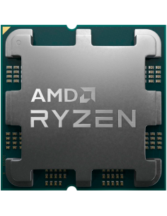 AMD CPU Desktop Ryzen 5... 2